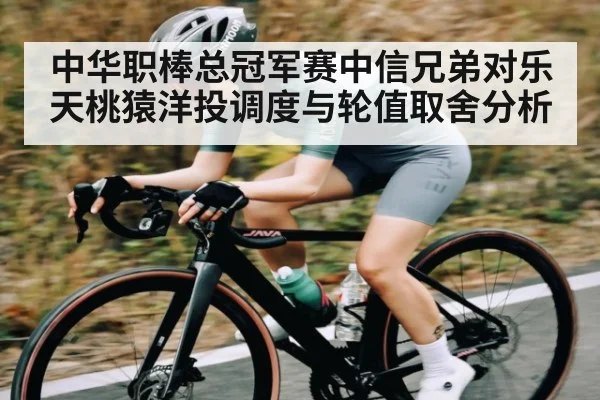 中华职棒总冠军赛中信兄弟对乐天桃猿洋投调度与轮值取舍分析